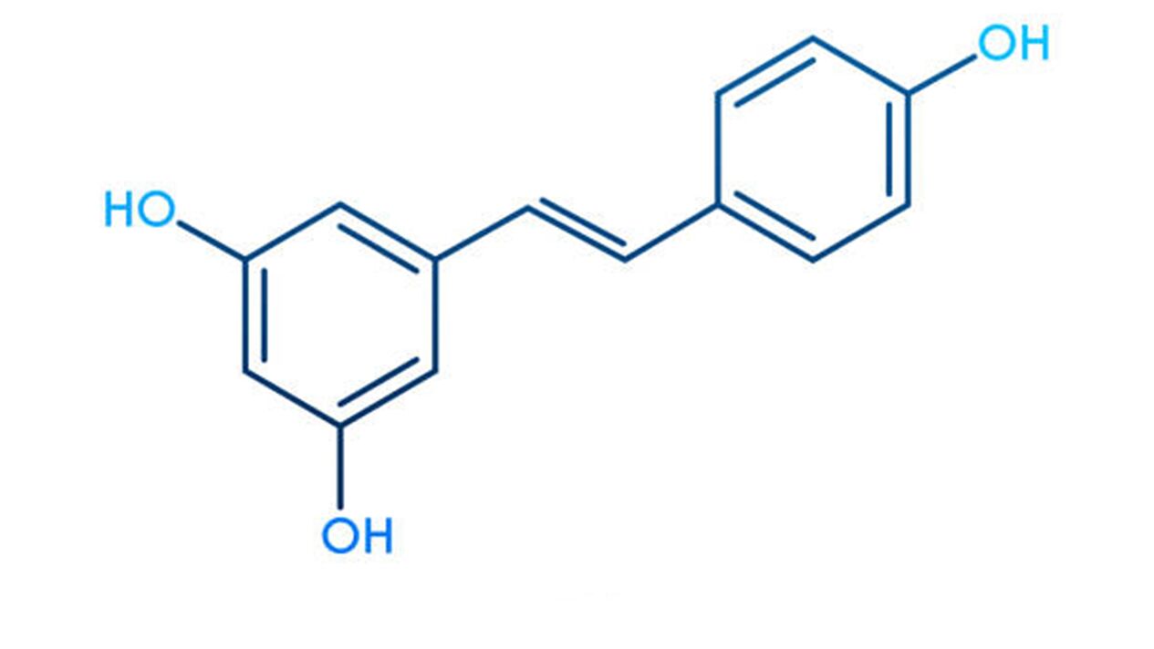 Resveratrol - Komponente Diaform Plus